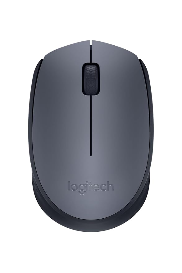 Logitech M170 Wireless Optical Mouse