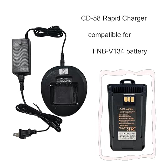 Delo D-58 USB Type-C Wall Charger