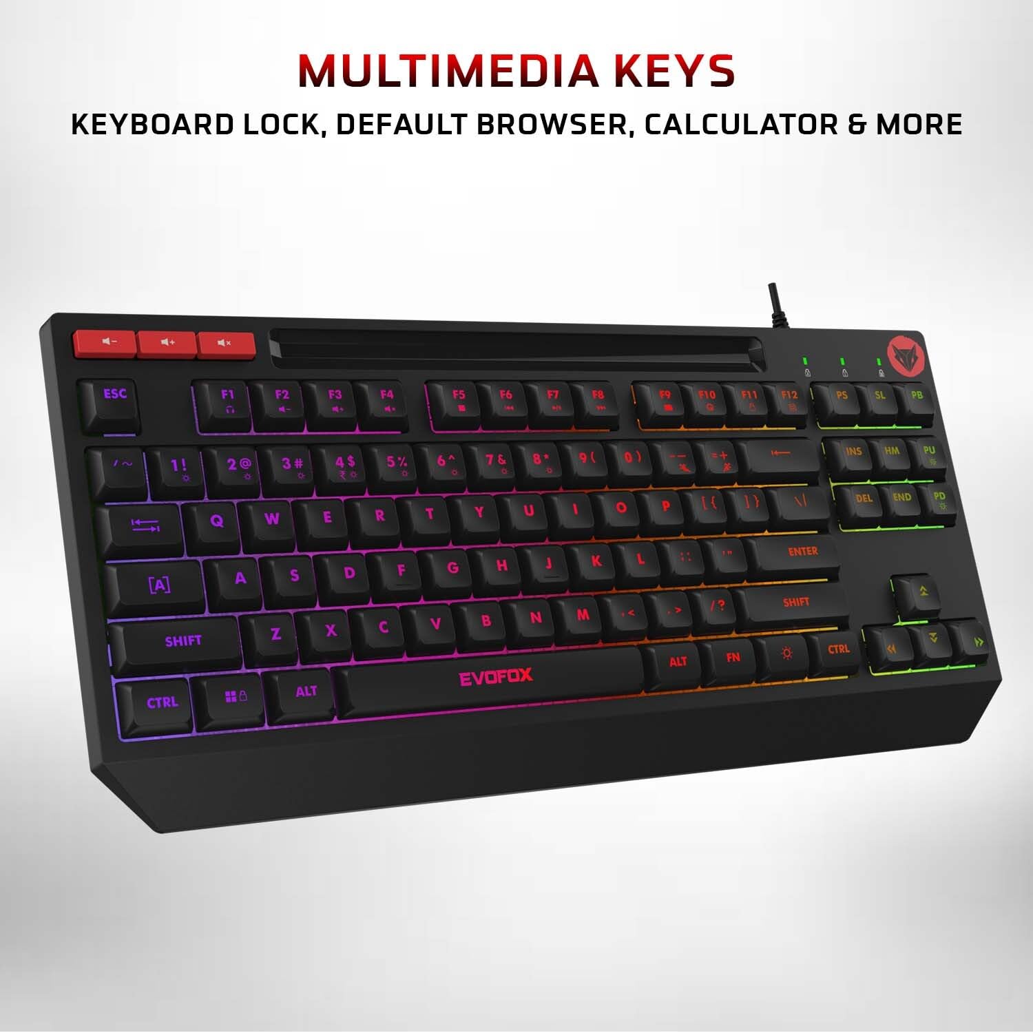 EvoFox Deathray TKL RGB Gaming Keyboard