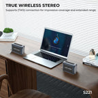 Lenyes S221 Bluetooth Speaker